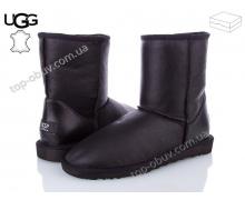 угги мужские Calorie, модель Ugg 111201 (2002) зима