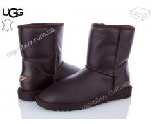 угги мужские Calorie, модель Ugg 111201 (2003) зима