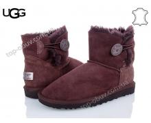 угги женский Calorie, модель UGG 101203(1003) зима