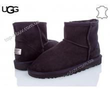 угги женский Calorie, модель UGG 101211(1002) зима