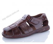сандалии мужские Baolikang, модель 8873 brown лето