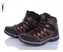ботинки мужские Baolikang, модель MX2323 coffee зима